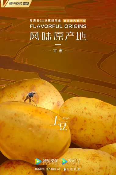风味原产地 下载