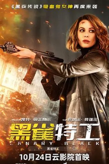 黑雀特工 2160P 4K 下载