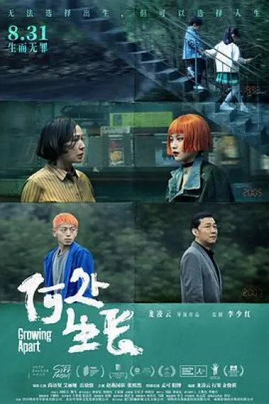 何处生长 下载