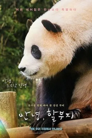 再见,福宝 下载