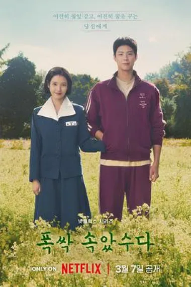 苦尽柑来遇见你 2160P 4K 下载