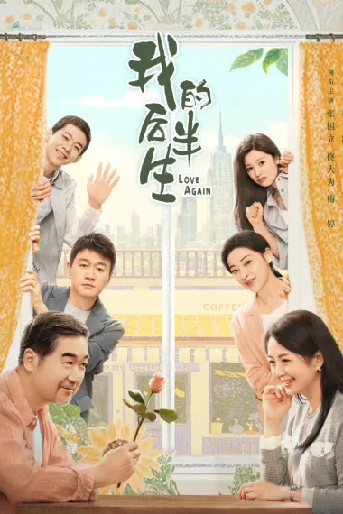 我的后半生 2160P 4K 下载
