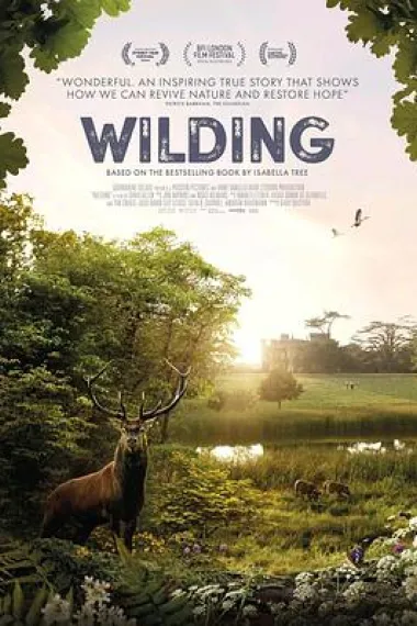 Wilding 下载