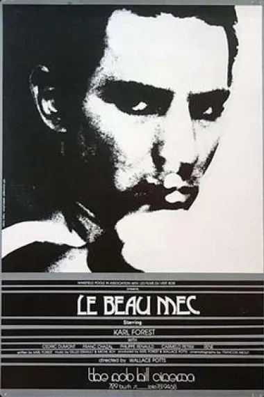 Le beau mec 下载