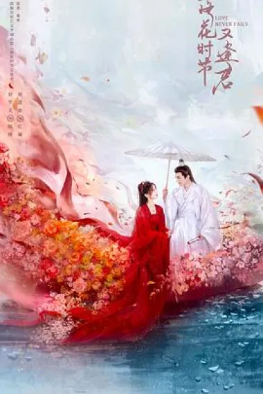 落花时节又逢君 2160P 4K 下载