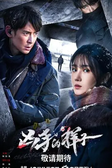 凶手的样子 2160P 4K 下载