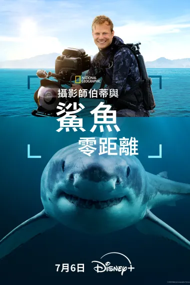 摄影师贝尔蒂与鲨鱼零距离 2160P 4K 下载