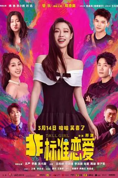非标准恋爱 2160P 4K 下载