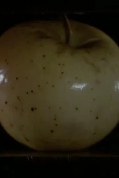 Copyright Film Polski MCMLXXVI 下载