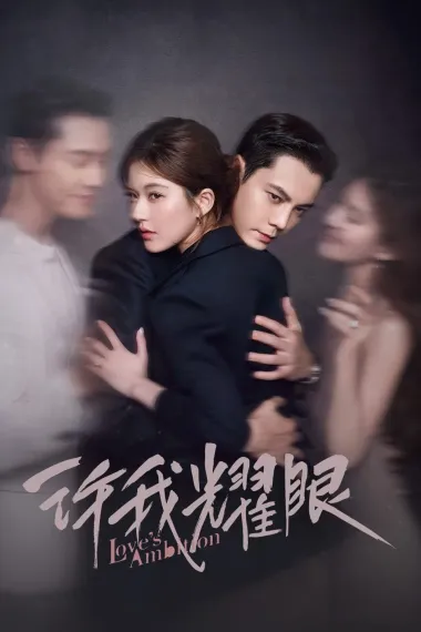 许我耀眼 2160P 4K 下载