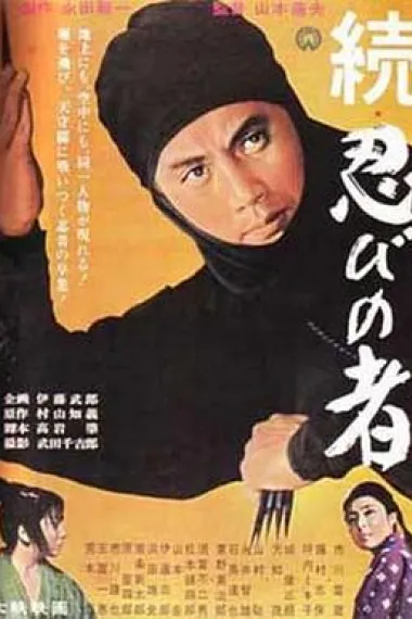 忍者续集 下载