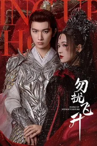 勿扰飞升 2160P 4K 下载