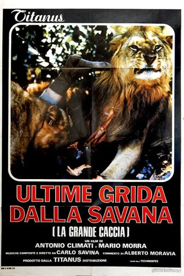 裸露残酷写真 下载