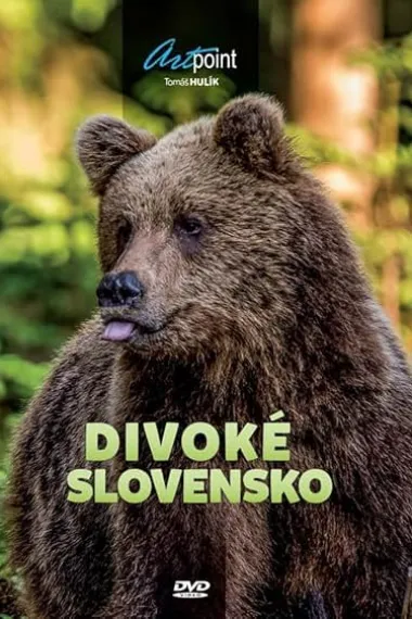 荒野斯洛伐克 2160P 4K 下载