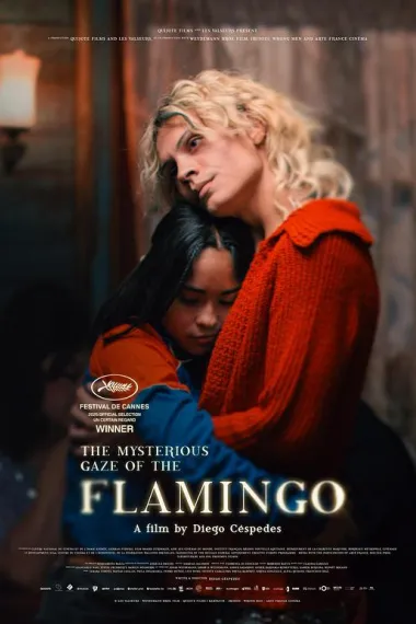 弗拉明戈的神秘眼神 下载