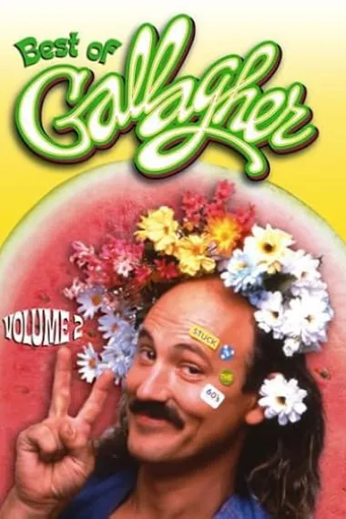 Gallagher: Stuck in the Sixties 下载