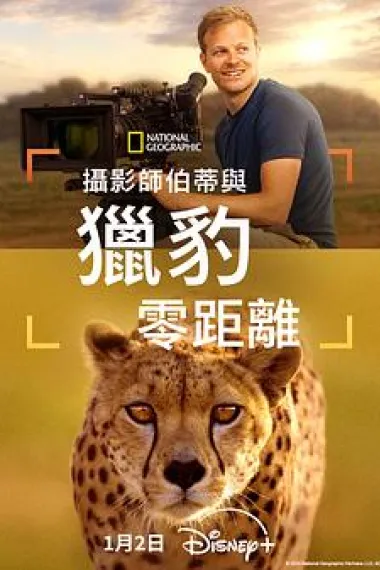 摄影师贝尔蒂与猎豹零距离 2160P 4K 下载
