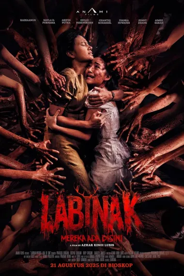 它们在这里 下载