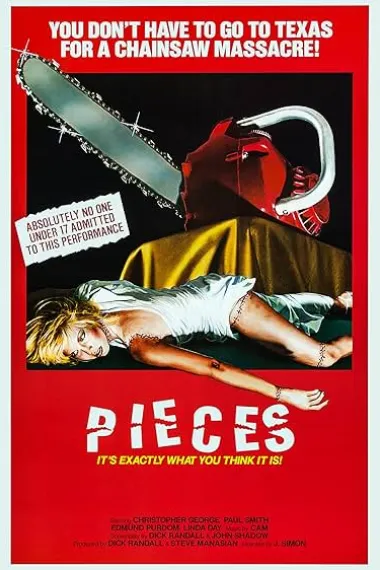 碎块 2160P 4K 下载