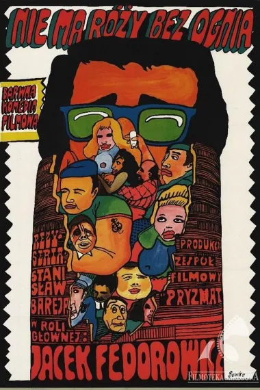 朵朵玫瑰皆似火 下载