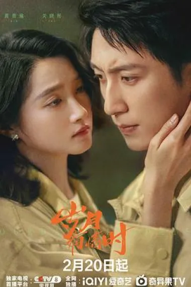 岁月有情时 2160P 4K 杜比视界 下载