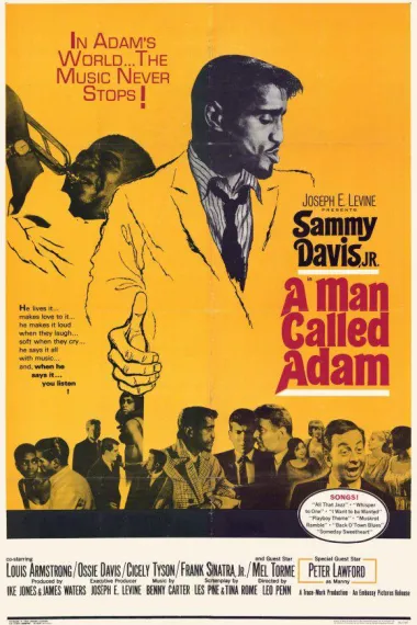 叫亚当的男人 下载