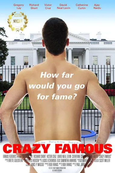 疯狂成名记 下载