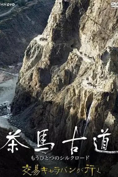 茶马古道：另一条丝绸之路 下载