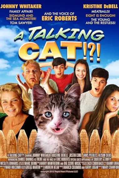 一只会说话的猫 下载