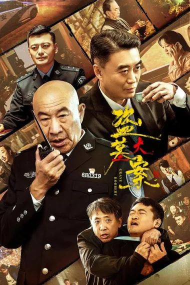 盗墓大案 2160P 4K 下载