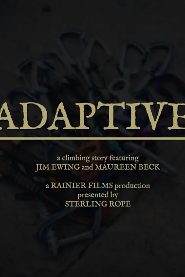 Adaptive 下载