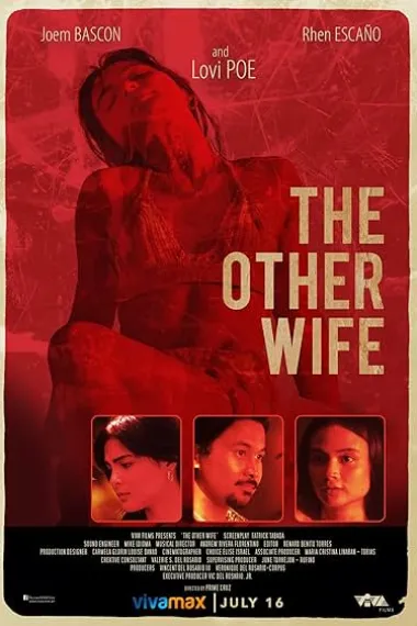 她不是我的妻子 下载