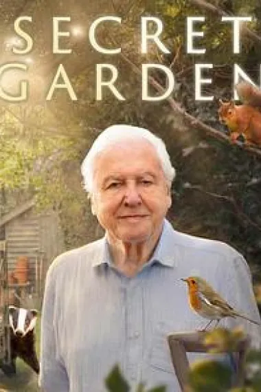 后院里的秘密生物 下载