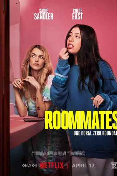 室友 2160P 4K 杜比视界 下载