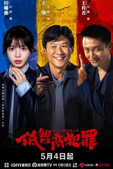 低智商犯罪 2160P 4K 下载