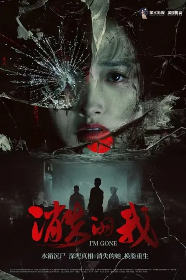 消失的我 2160P 4K 下载