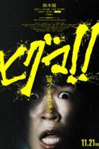 棕熊！！ 下载