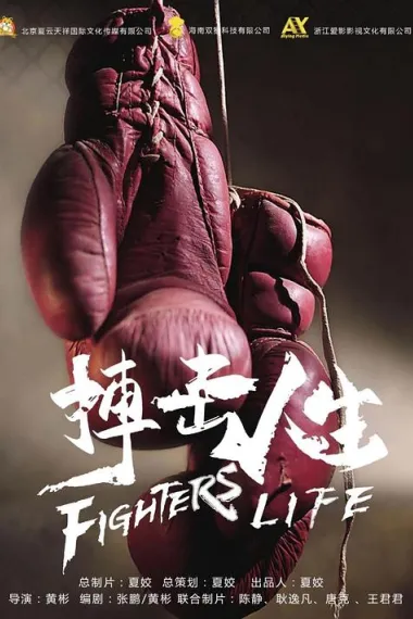 搏击人生 2160P 4K 下载