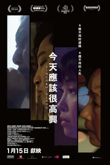 今天应该很高兴 下载