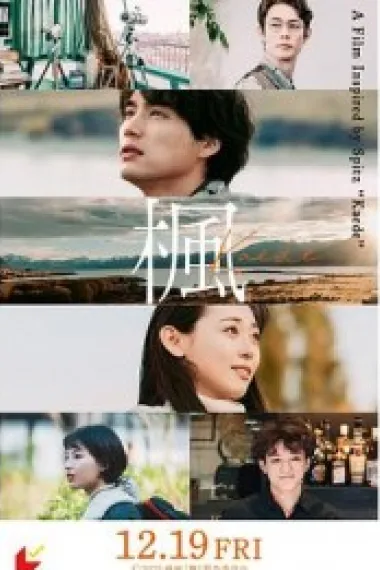 枫 下载