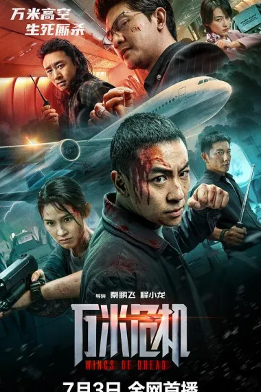 万米危机 2160P 4K 杜比视界 下载