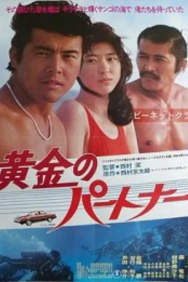 黄金拍档 下载