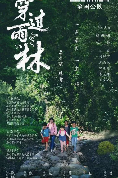 穿过雨林 2160P 4K 下载