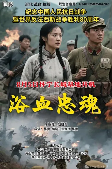 浴血忠魂 2160P 4K 下载