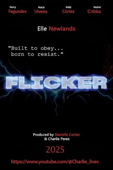 Flicker 下载