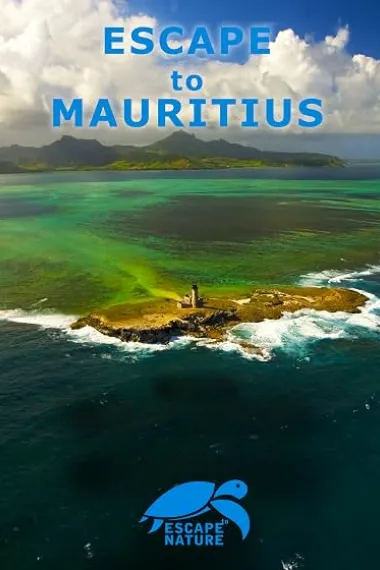 Escape to Mauritius 下载