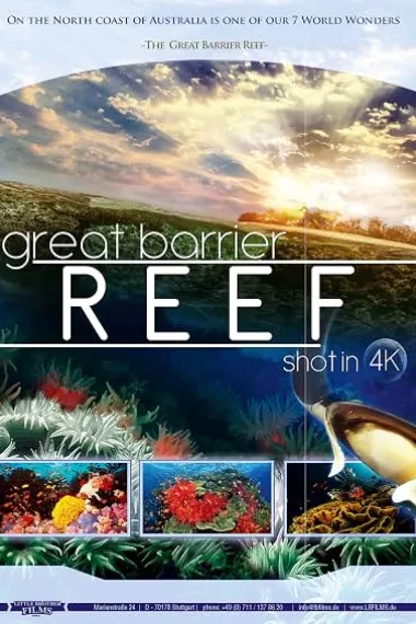 Great Barrier Reef 4K 下载