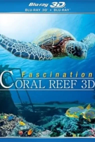 珊瑚礁 3D 下载