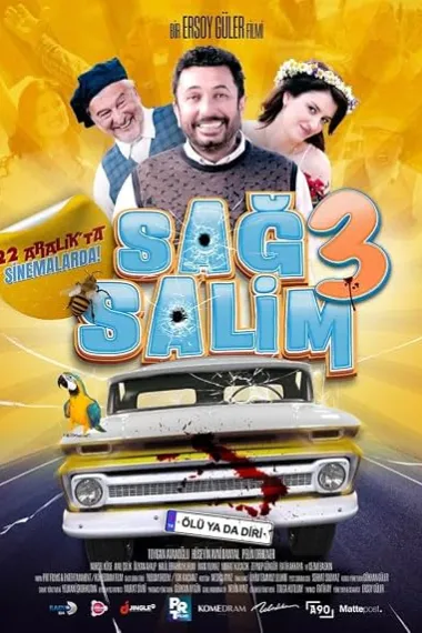 Sag Salim 3: Ölü ya da Diri 2160P 4K 下载