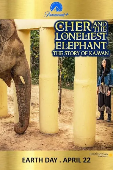 Cher and the Loneliest Elephant 下载